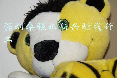 深圳有哪些创业机会(「同心粤港澳 携手大湾区」深圳前海，打造香港创业青年们的“梦工厂”)