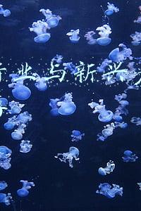 传统行业与新兴产业过剩并存