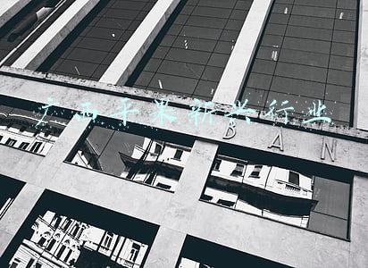 广西平果新兴行业