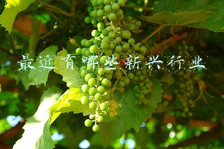 最近有哪些新闻(“喜宴吃糖后毒鼠强中毒”女童正康复治疗，当地干部捐款帮扶)