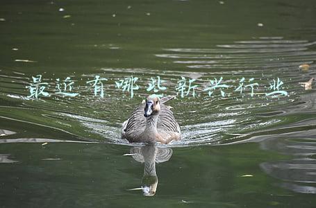 最近有哪些新闻大事(2021国内十大新闻)