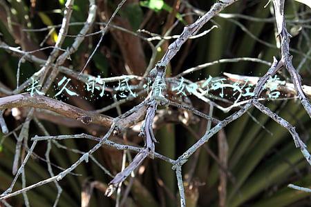 复合后的感情会长久吗，分手复合后的感情会长久吗