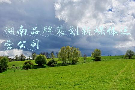 湖南品牌策划新媒体运营公司