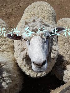 广东新兴各行业招工信息网