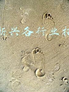 新兴县人民公众信息网(2021年IDC互联网数据中心发展研究)