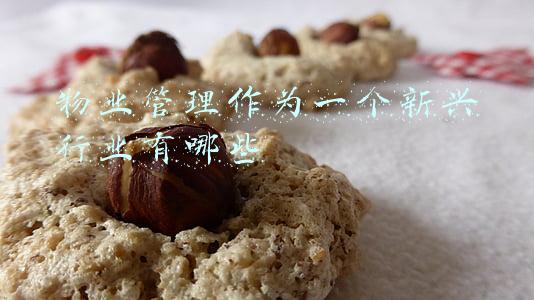 物业管理是什么行业(2021年中国物业管理行业市场前景及投资研究报告)