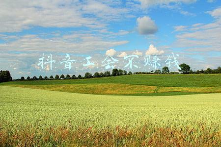 抖音工会业务介绍(抖音公会是什么)