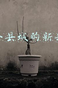 适合小县城的新兴行业