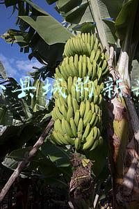 适合小县城的新兴行业