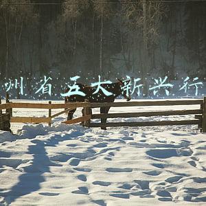 贵州四大产业(「产业观察」基础材料：打好贵州高质量发展之“基”)