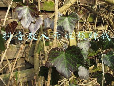 抖音教人赚钱靠谱吗(现在抖音上到处都是教人怎么赚钱的，你们会相信吗？)