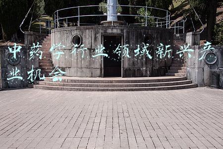 中药学行业领域新兴产业机会