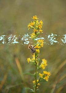 如何经营一家面馆