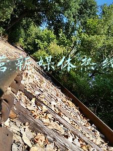 媒体曝光平台热线电话(这些咨询电话 关键时刻有用)