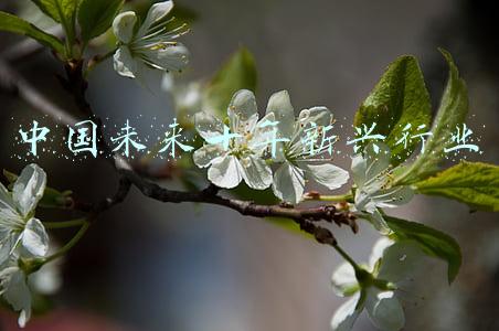 中国未来十年房价预测(未来十年房价走势如何？现在到底还该不该买房？)