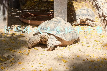新时代接单平台(装修行业的同仁看过来，这个接单方法你一定要知道)