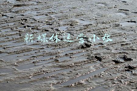 新媒体运营小张