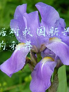大数据对我国新兴行业发展的利弊