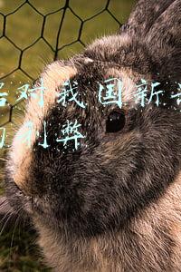 大数据在国内的发展现状(我国大数据交易的发展现状、面临困难及政策建议)