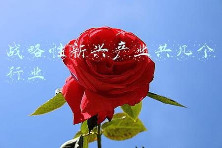 战略性新兴产业共几个行业