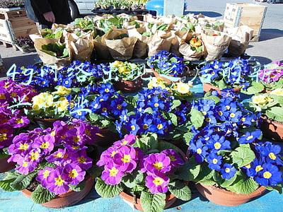 三星s5怎么设置4g网络(iQOO U5 评测：首批预装 Android 12 + OriginOS Ocean 的千元机)