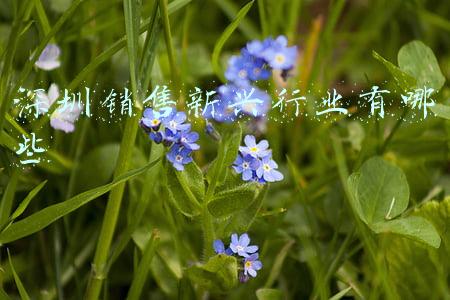 新行业生意有哪些(暴涨又暴跌！“木头姐”2022投资策略来了！聚焦这5大行业)