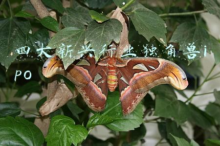 近三年全球独角兽企业有哪些(2021全球独角兽榜：字节跳动位居榜首 蚂蚁集团、SpaceX分列二三位)