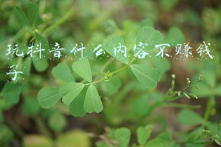 玩坏这本书内容(合上这本书的时候，记得说：\u0026#34;恶作剧结束！\u0026#34;)