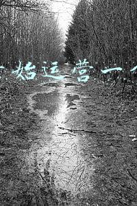 新媒体运营发展(分析新媒体运营和社群运营的发展前景)