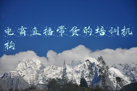 电商直播带货的培训机构