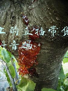 微博上的直播带货会同步到抖音吗 微博上的直播带货会同步到抖音吗