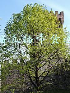直播带货选品有哪些技巧(直播带货如何选品？直播带货九大选品技巧)