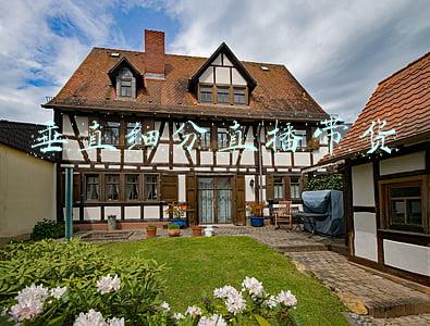 垂直细分直播带货