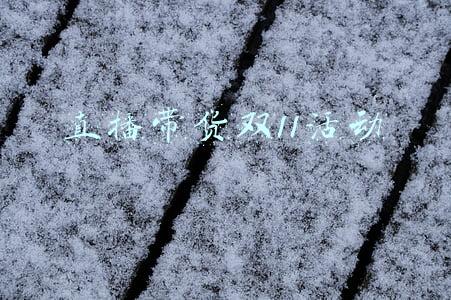 直播带货双11活动