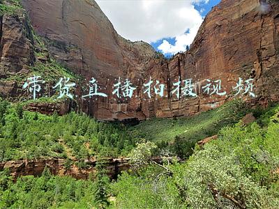 带货短视频拍摄脚本(带货达人都在用的8种短视频成交脚本)