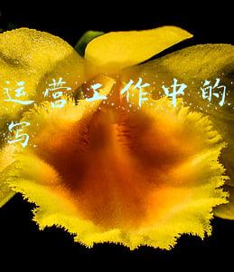 电商运营工作中的机遇怎么写