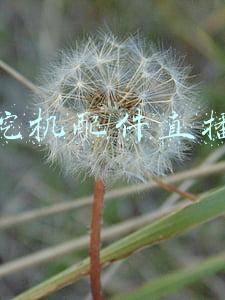 神钢挖机配件直播带货