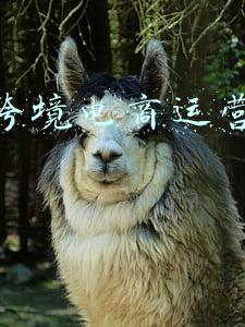 深圳agv供应商(十四家企业入选2017年度AGV机器人配件最佳供应商)