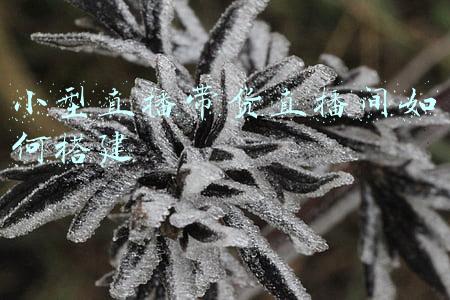 小型箱货汽车(起售价仅4.18万 用东风途逸厢货小卡拉快递很划算)