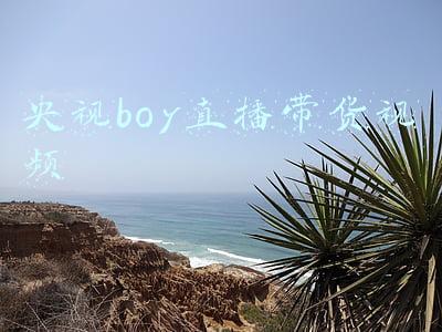央视boy直播带货视频