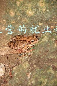 电商的就业方向和就业前景(学电子商务毕业后要不要从事本专业？赚钱吗？有前景吗？)
