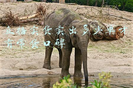 直播带货什么好卖(3个月带货5000万，那些隐藏在小众赛道的“大生意”)