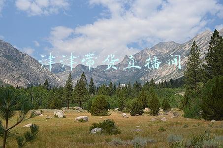 天津直播带货(转型直播带货的新东方：去年辞退6万名员工，营收减少八成)