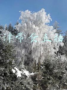 新闻主播直播带货(中宣部、广电总局：播音员主持人代言带货须经批准)