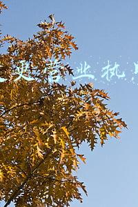 营业执照经营范围变更 公司变更经营范围的流程