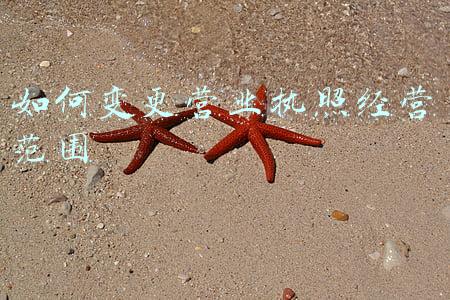 营业执照经营范围大全;个体户营业执照经营范围大全