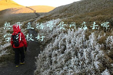 学直播带货去哪里去学(新东方直播带货、学而思线上卖书！两大培训巨头转型，家长买账？)