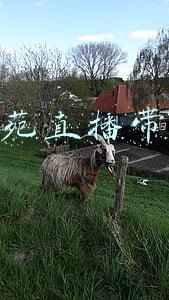 清苑新闻频道直播(保定清苑：培养高素质农民 为乡村振兴注入新血液)
