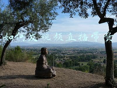 网上直播带货怎么做(网红带货如何走向规范)