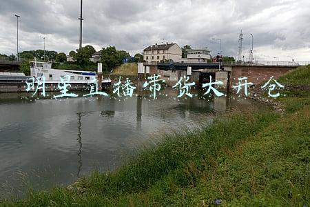 明星直播带货的论文(大学生毕业论文写“薇娅”，只剩9天答辩，网友：比写花田错还惨)